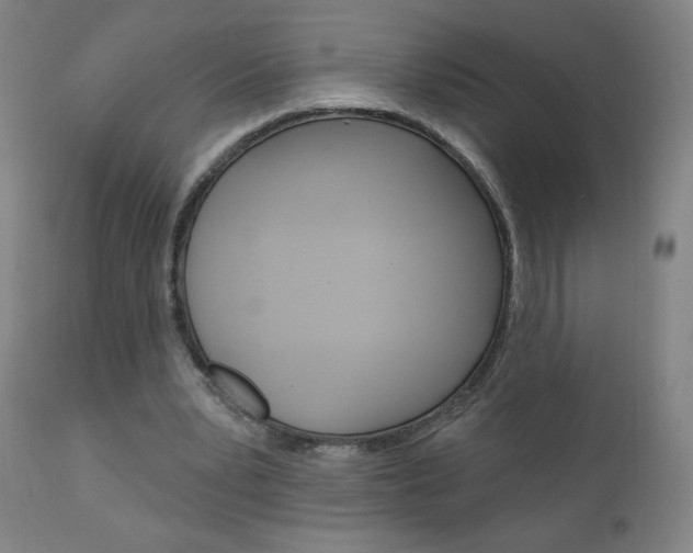 X0000111050391200906251125