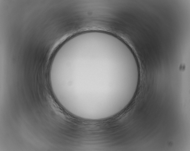 X0000111050395200906251125