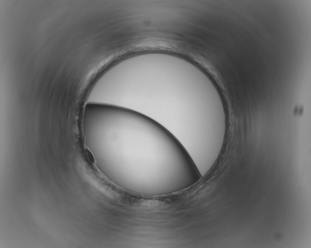 X0000111050399200906251125