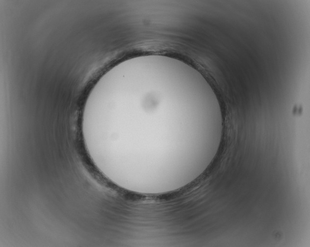 X0000111050404200906251125