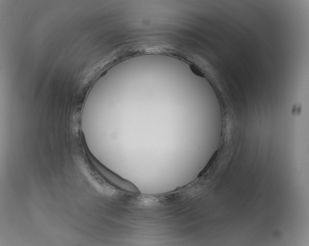 X0000111050405200906251125