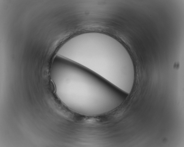 X0000111050407200906251125