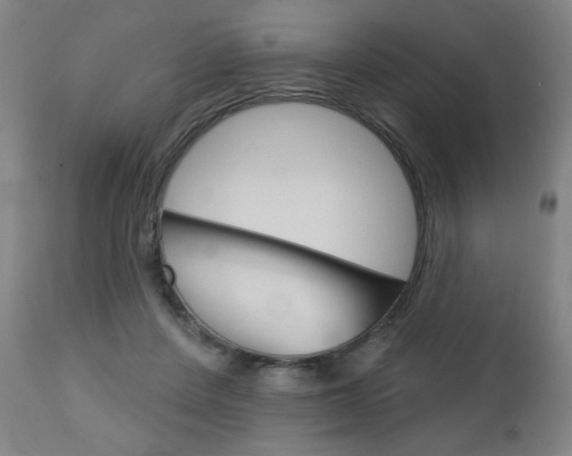 X0000111050408200906251125