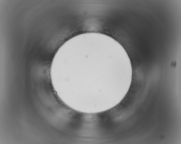 X0000111050415200906251125