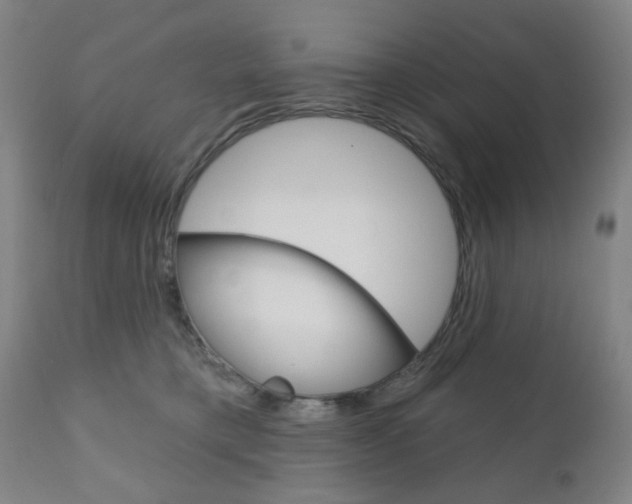 X0000111050421200906251124