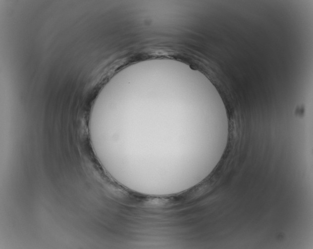 X0000111050422200906251124