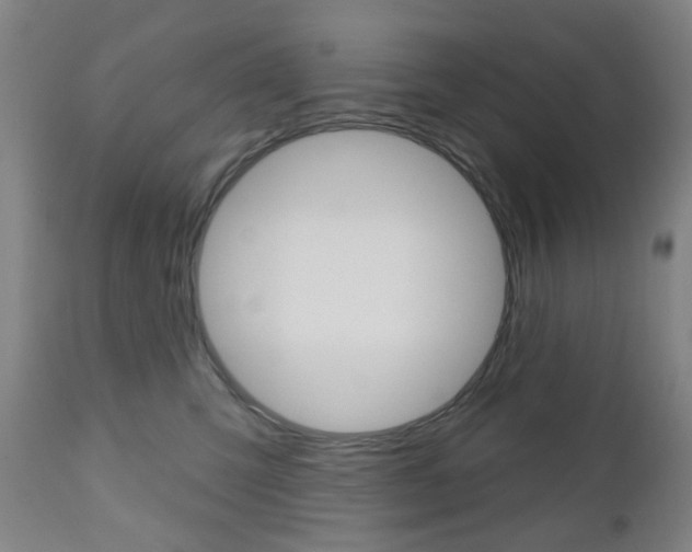 X0000111050423200906251124
