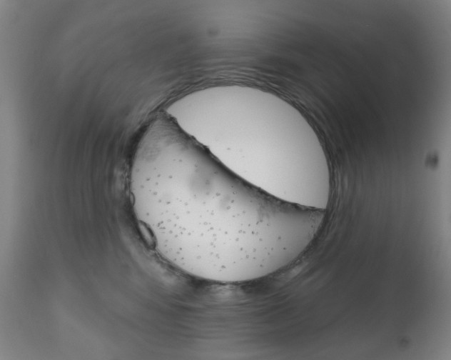 X0000111050424200906251124