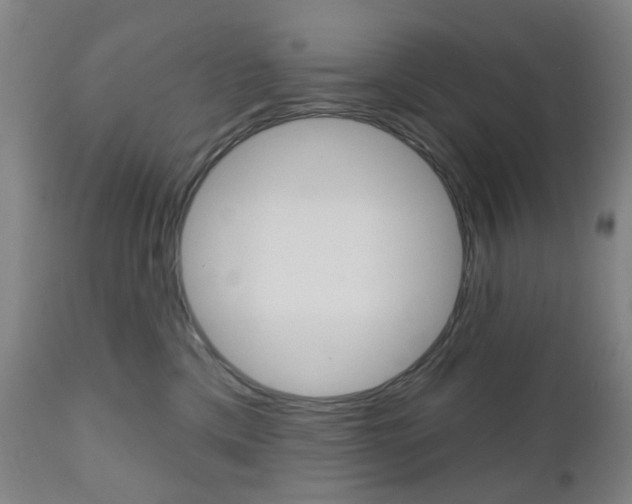 X0000111050425200906251124