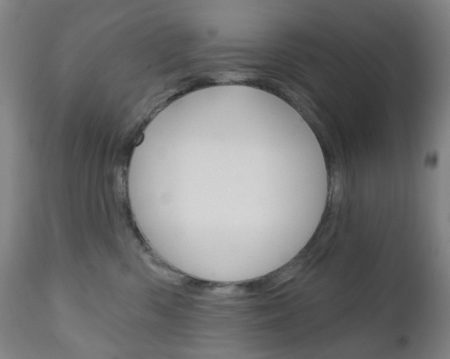 X0000111050426200906251124