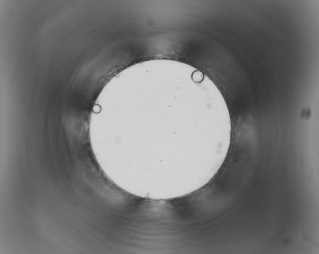 X0000111050427200906251124