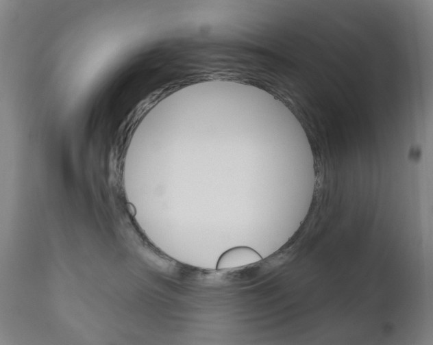 X0000111050430200906251124