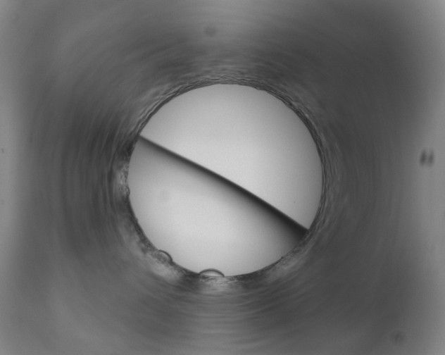 X0000111050432200906251124