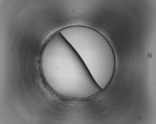 X0000111050434200906251124