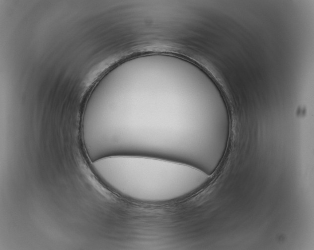 X0000111050437200906251124