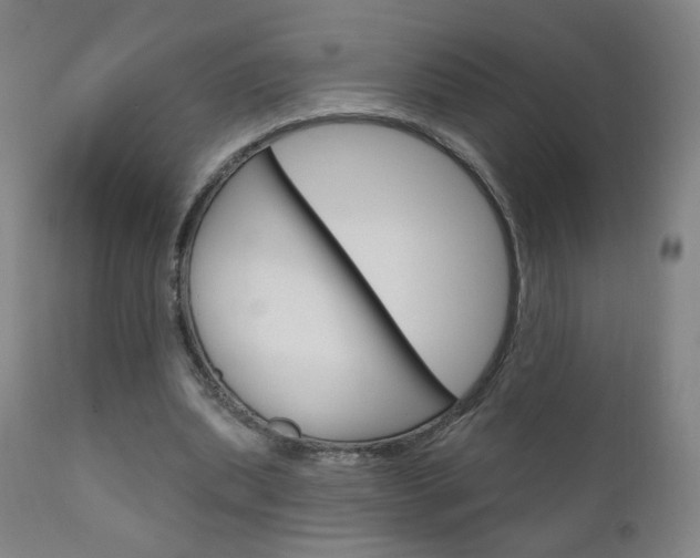 X0000111050439200906251124