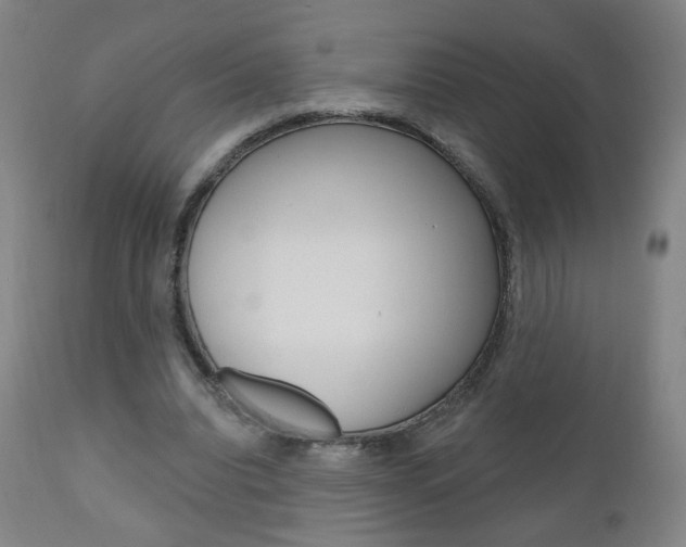 X0000111050440200906251124