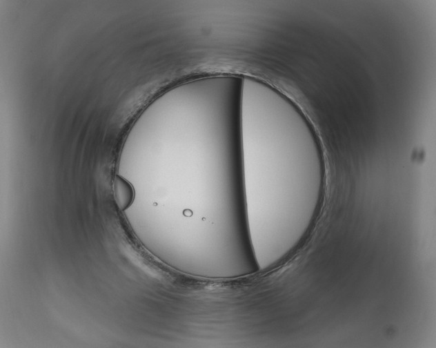 X0000111050441200906251124