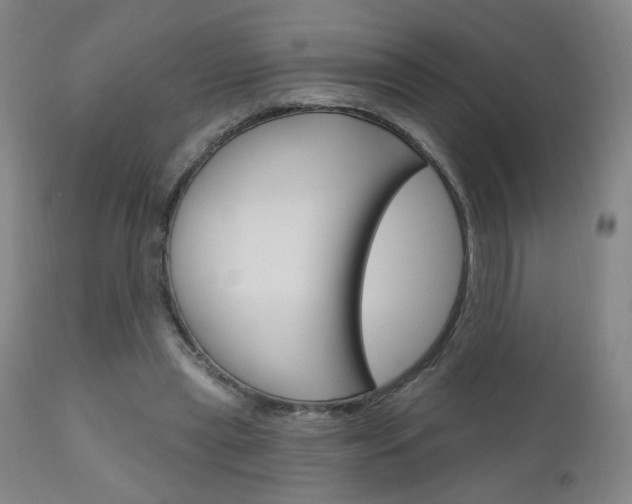 X0000111050445200906251124
