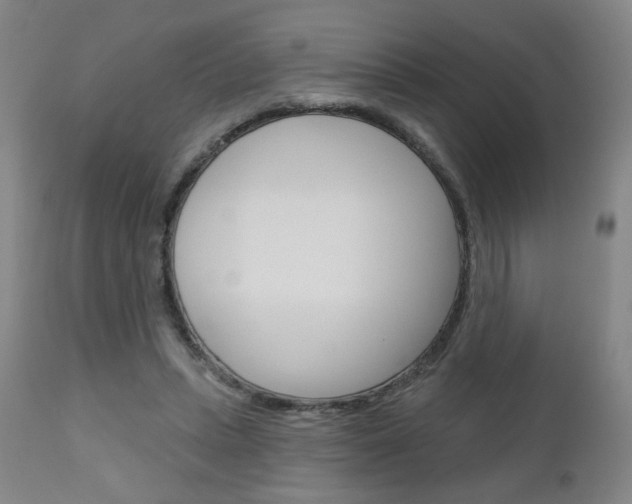 X0000111050447200906251124