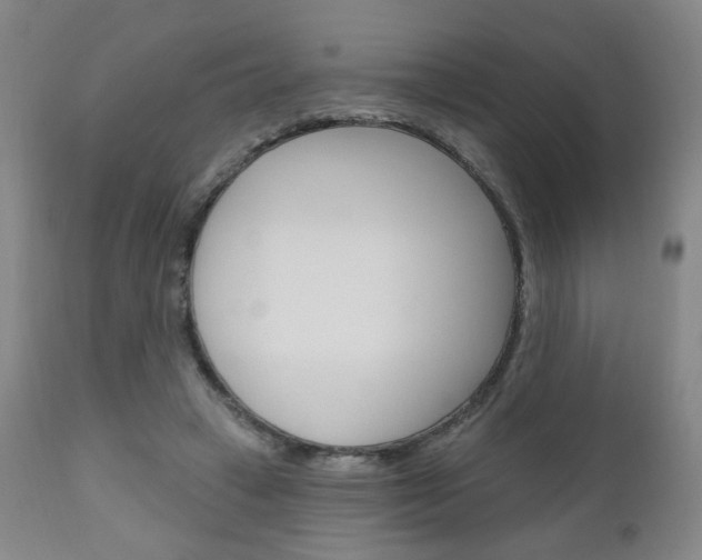 X0000111050449200906251124