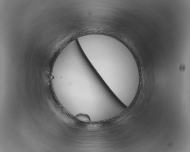X0000111050450200906251124