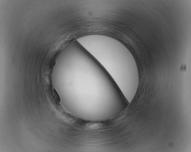 X0000111050452200906251124