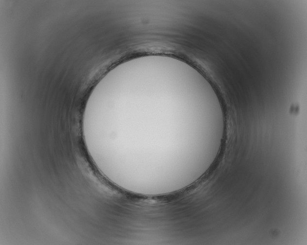 X0000111050453200906251124