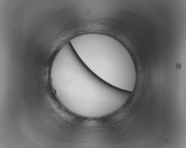 X0000111050454200906251124