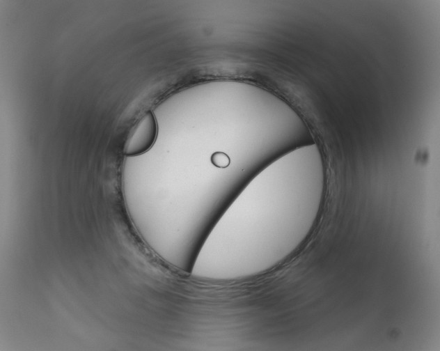 X0000111050457200906251124