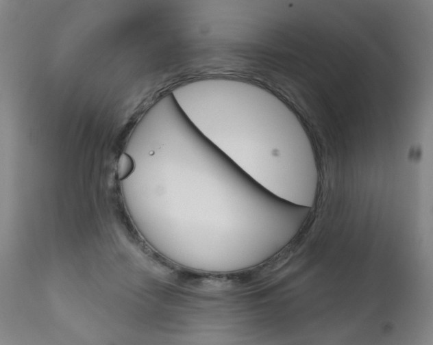 X0000111050458200906251124