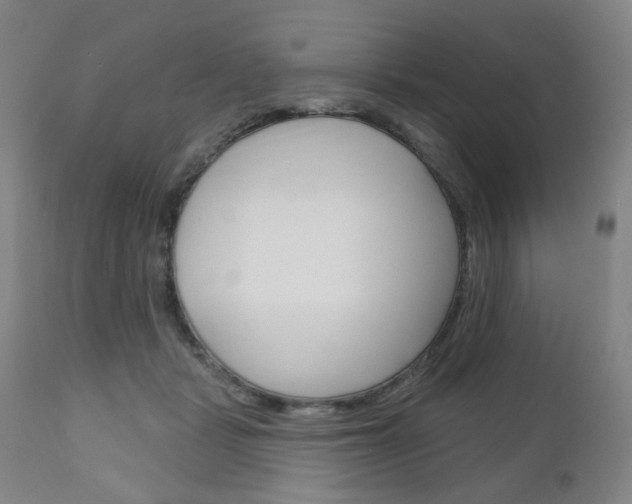 X0000111050461200906251124