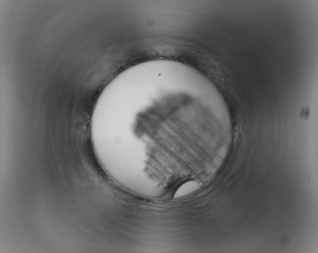 X0000111050464200906251124