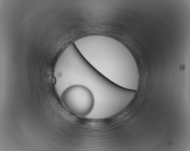 X0000111050466200906251124
