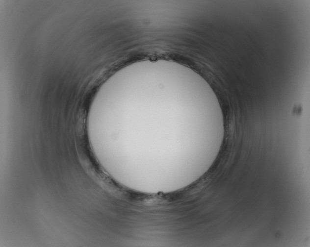 X0000111050468200906251124