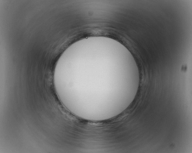 X0000111050469200906251124