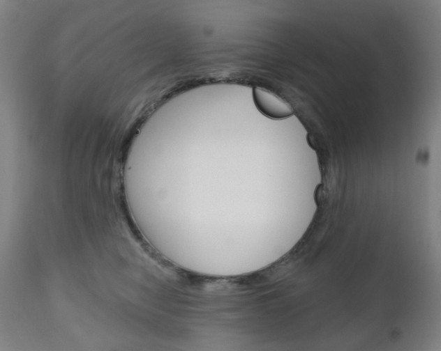 X0000111050470200906251124