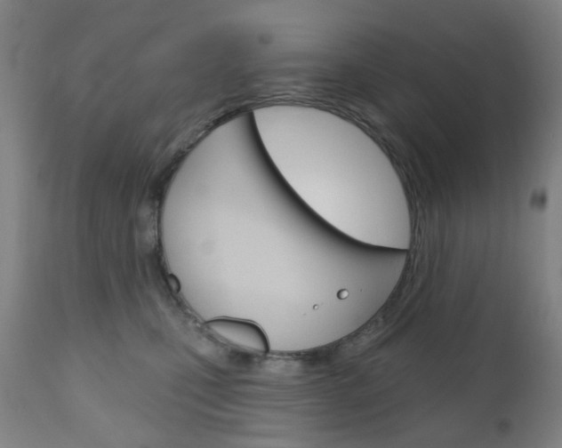 X0000111050471200906251124