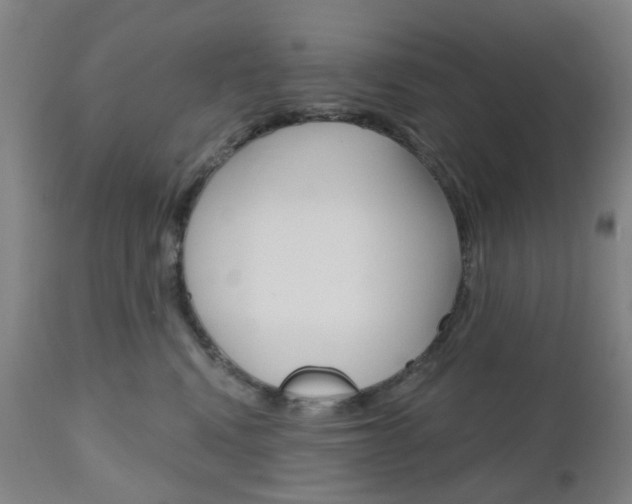 X0000111050472200906251124