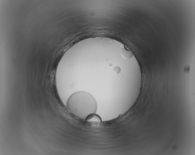 X0000111050475200906251124