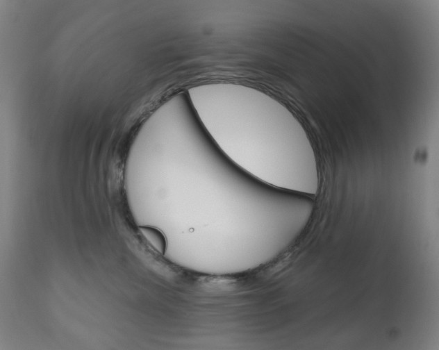 X0000111050476200906251124