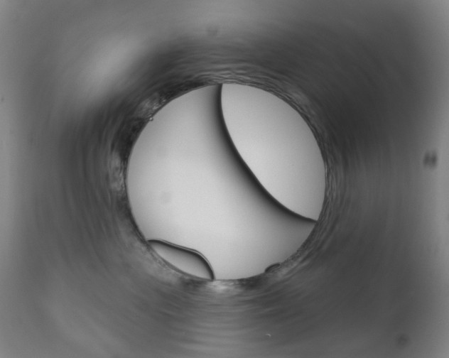 X0000111050477200906251124