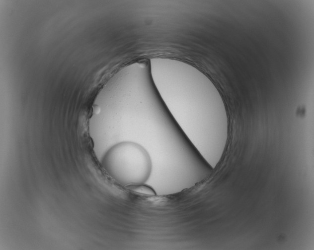 X0000111050478200906251124