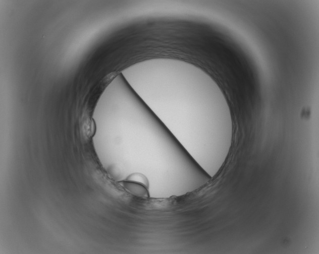 X0000111050479200906251124