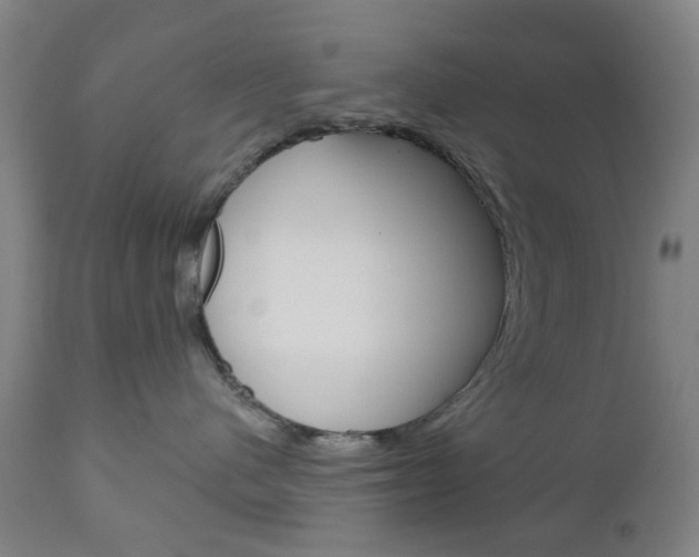 X0000111050480200906251124