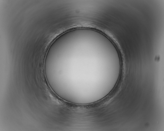 X0000111050481200906251124