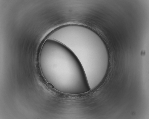X0000111050484200906251123