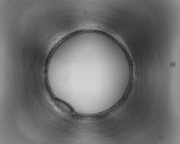 X0000111050485200906251123