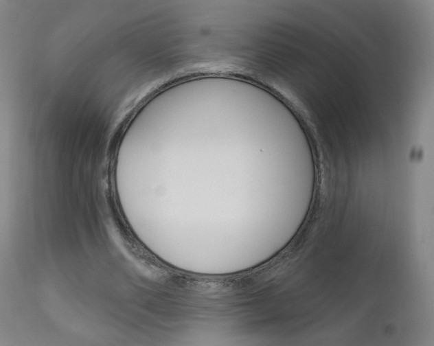 X0000111050486200906251123