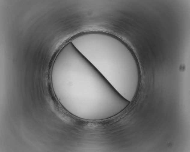 X0000111050487200906251123